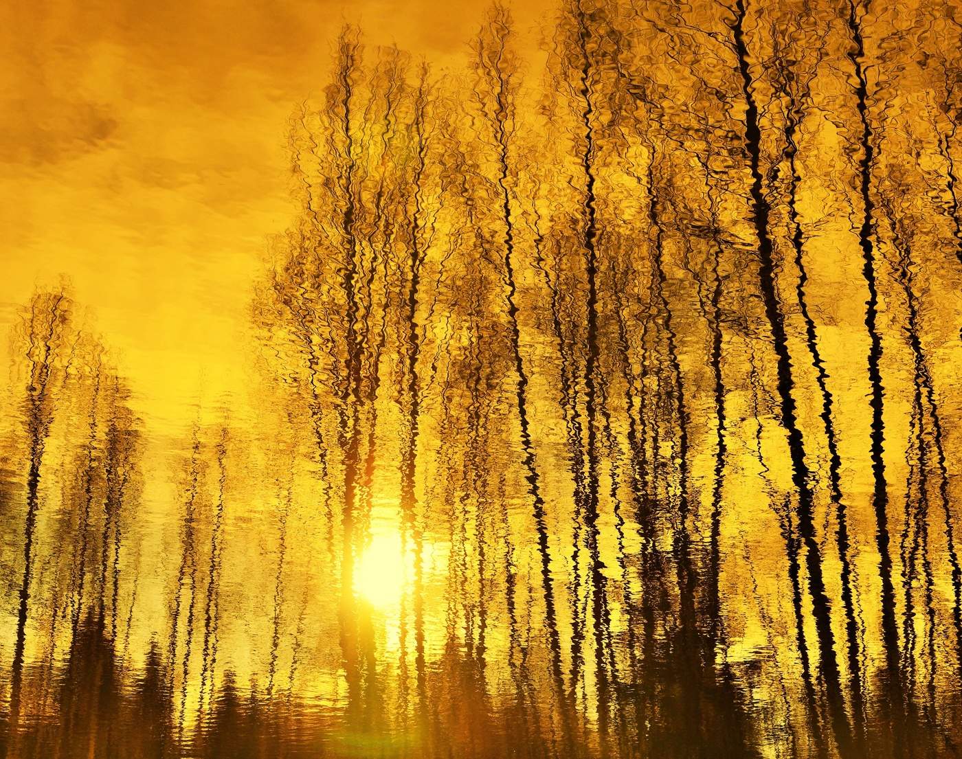 "Спустился к речке золотой закат ..."