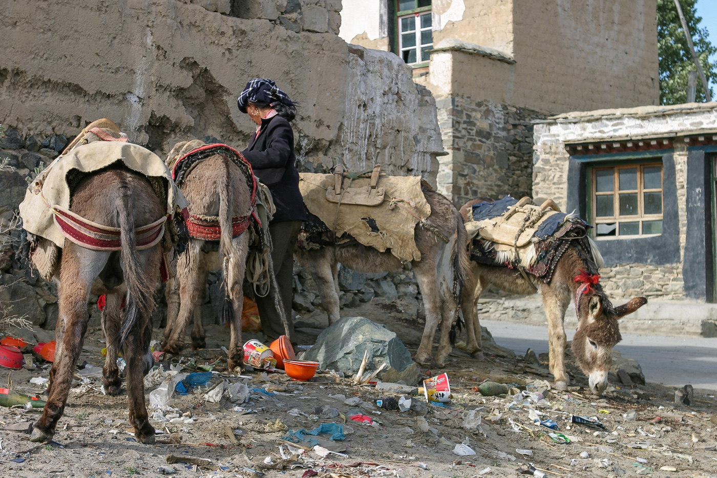 А Вы за раздельный сбор мусора?