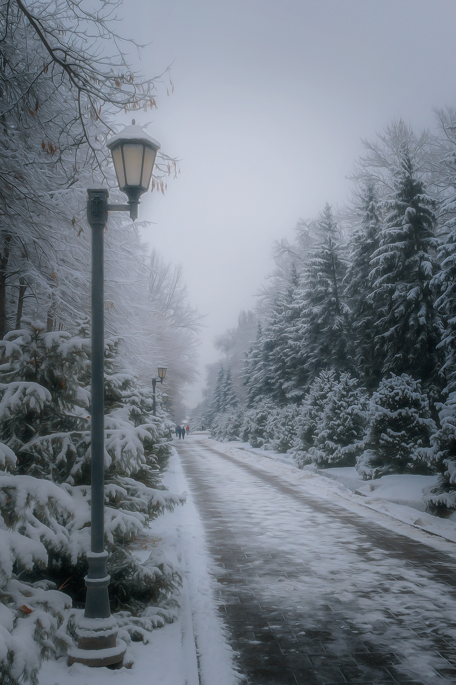 Ранние сумерки.