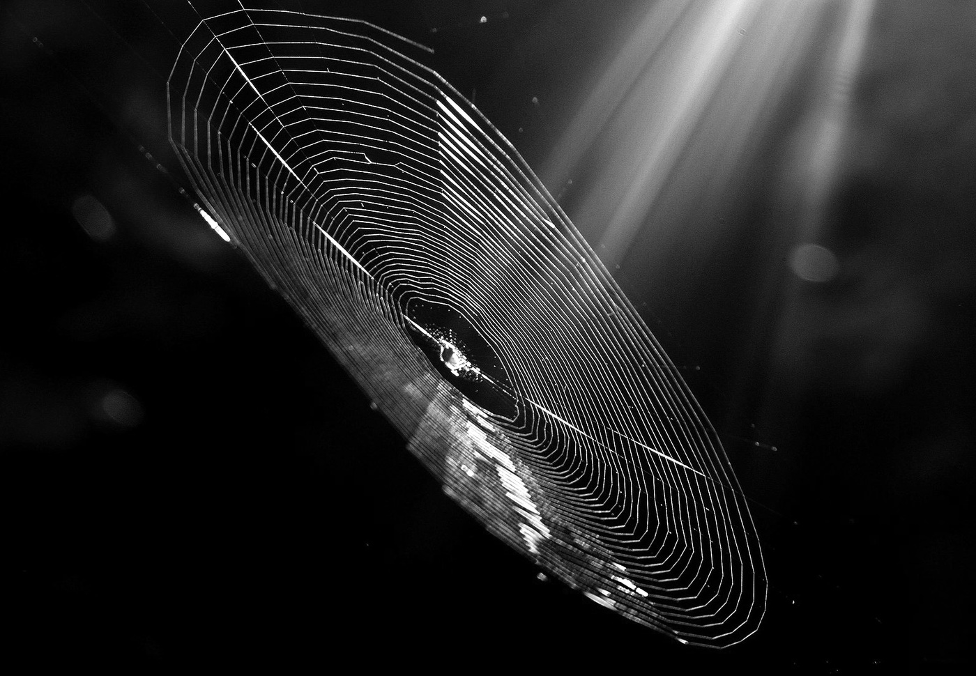 "Пластинки крутится диск..."