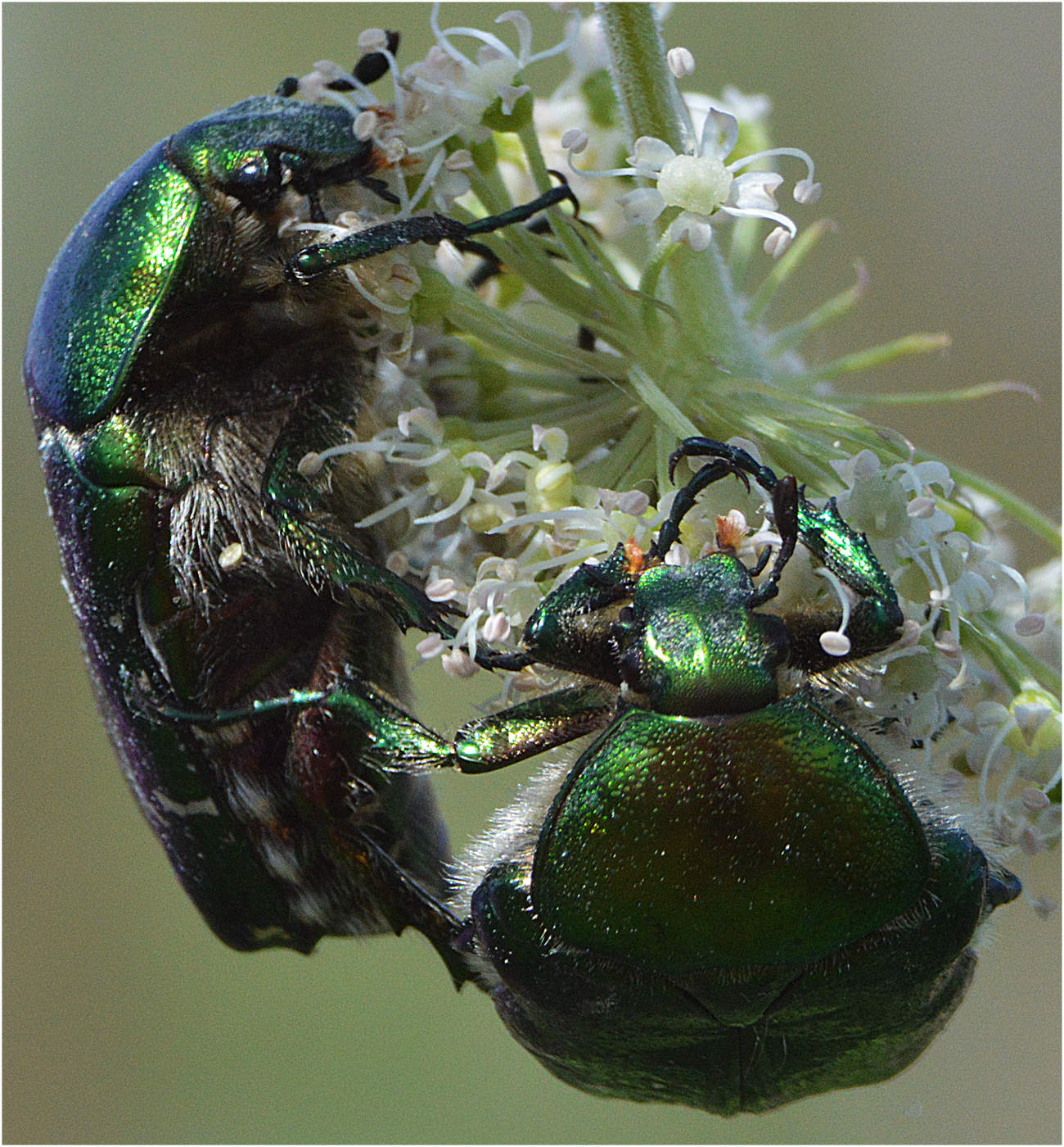 Завтрак вдвоем.