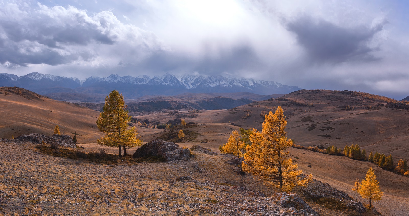 В долине гроз...