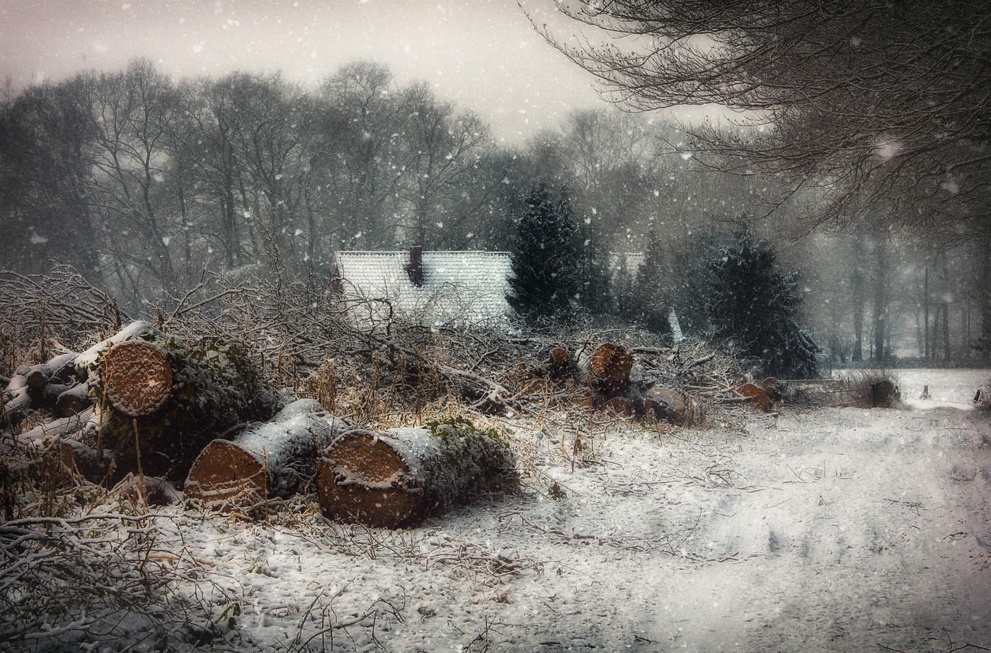 Декабрьским днём...