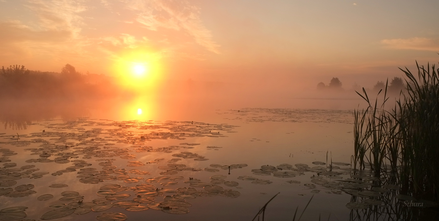 Летнее утро.