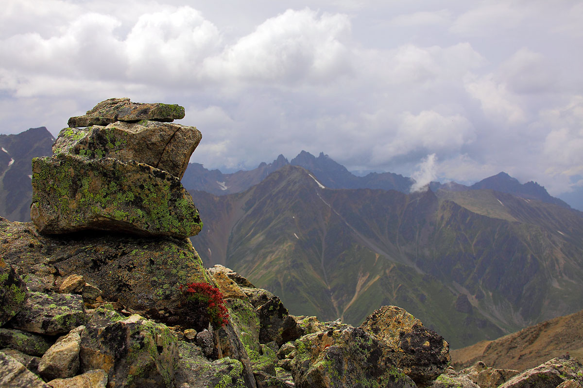 А на нейтральной стороне цветы..