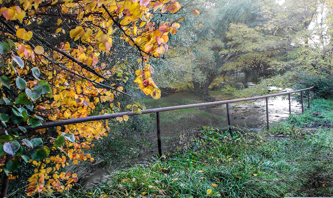 Прошедшая пора