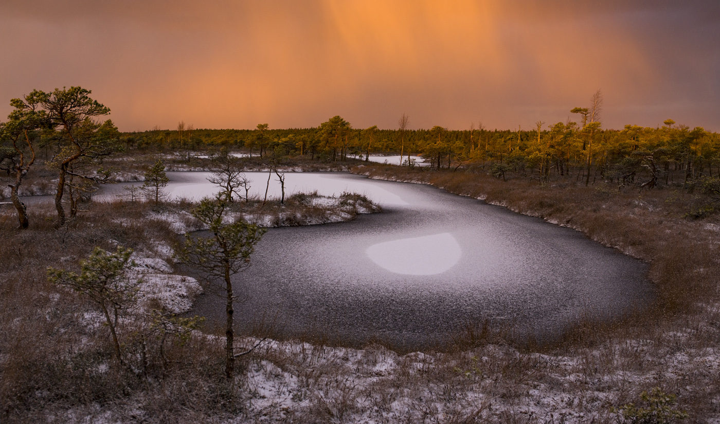 Картинка с прошлогодним снегом