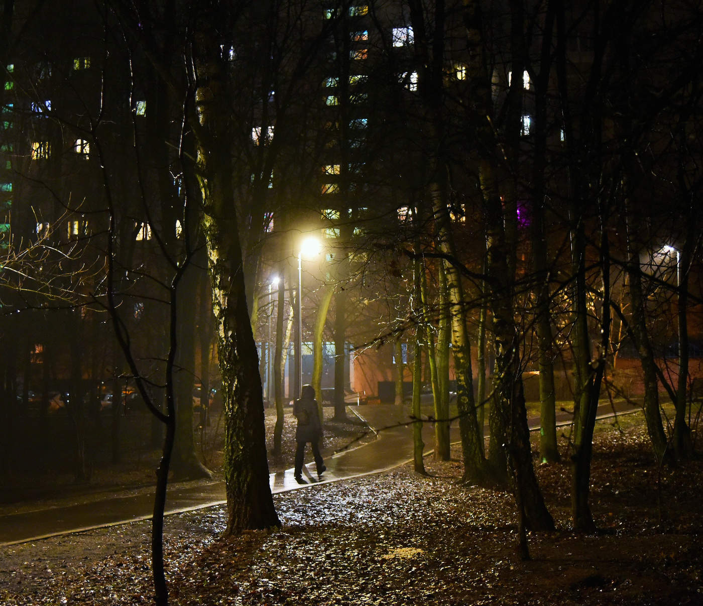 "Город ночной... запоздалый прохожий..."