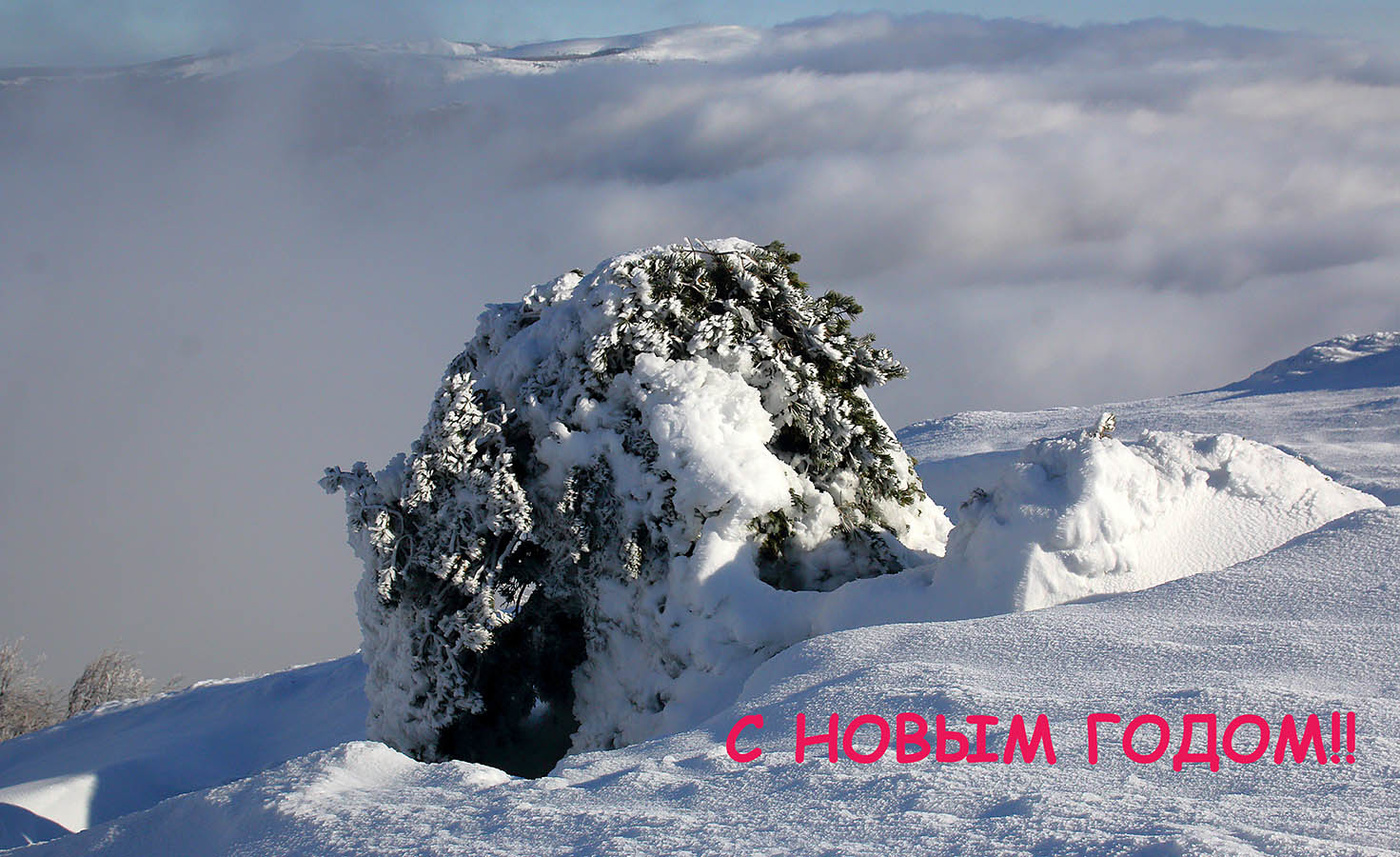 С Новым Годом, уважаемые Коллеги!!