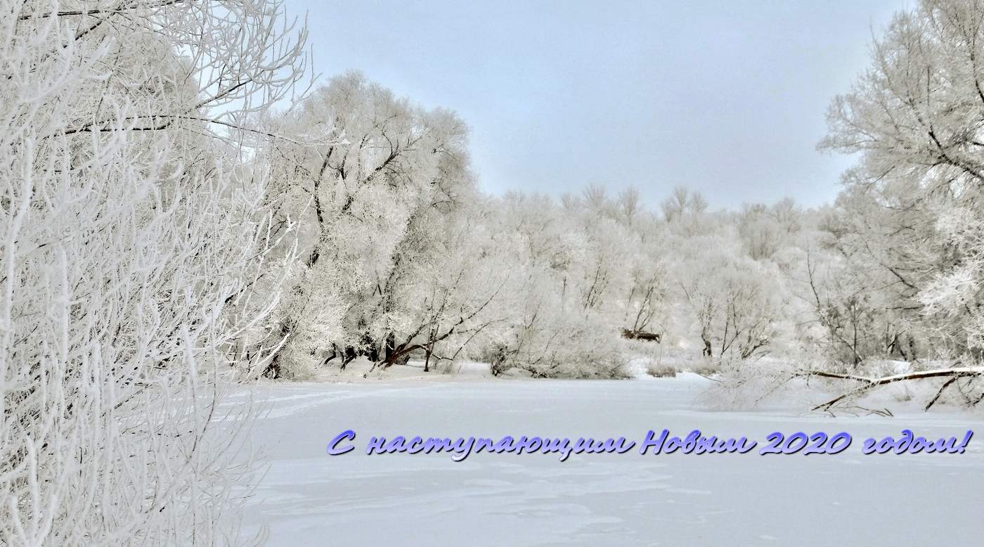 С наступающим Новым 2020 годом!