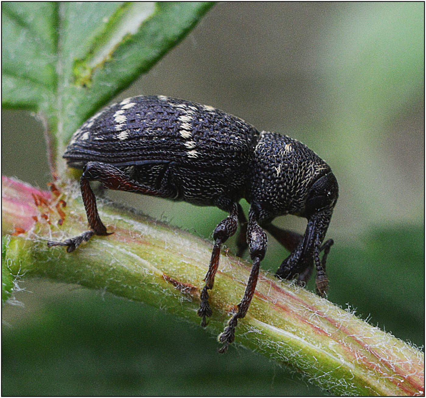 В активном поиске.