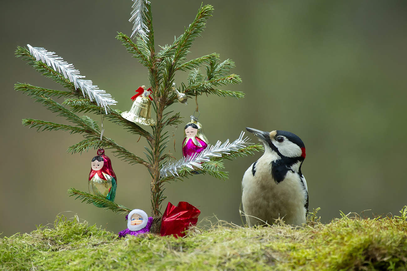 С Наступающим!