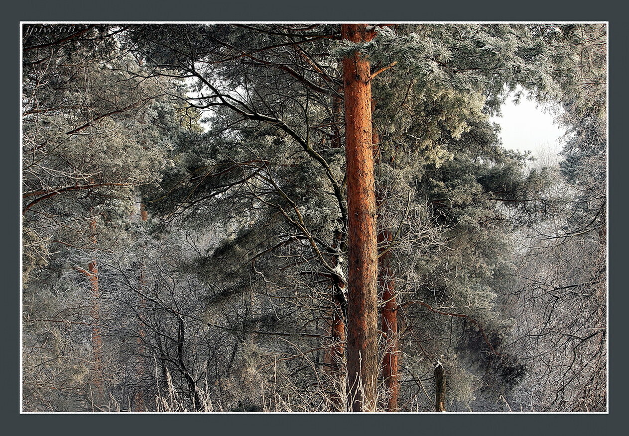 С Наступающим!!!