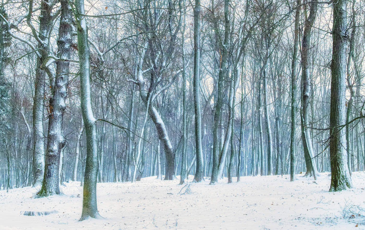 Прошлогодний снег