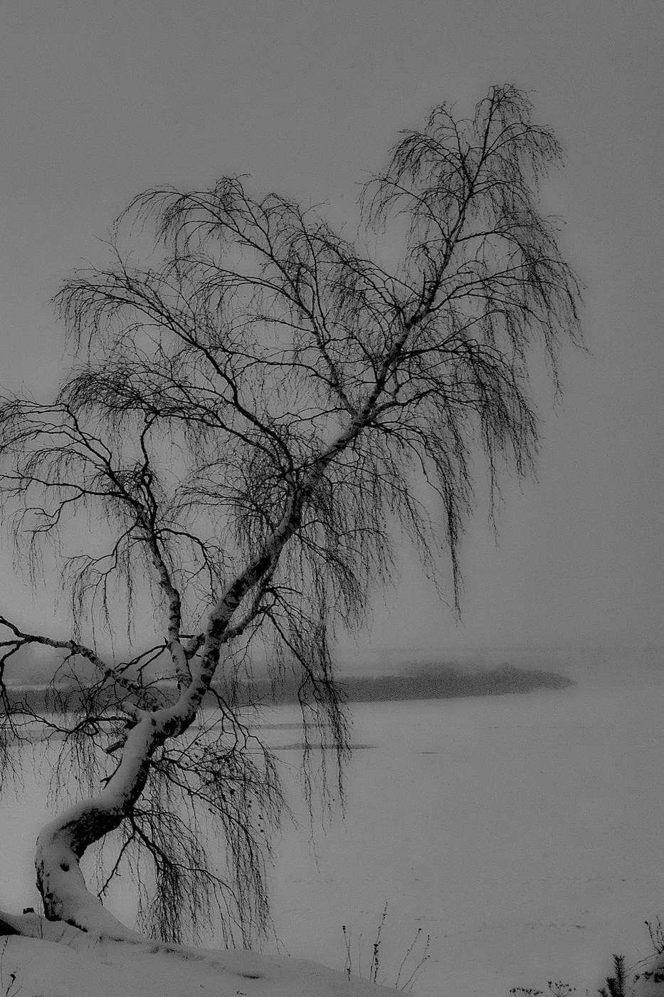 Над обрывом.