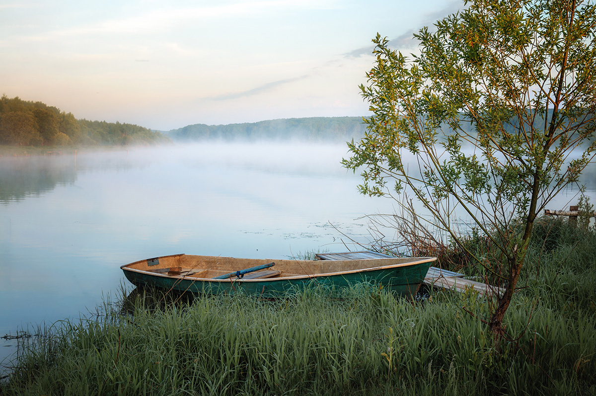 Летним утром.