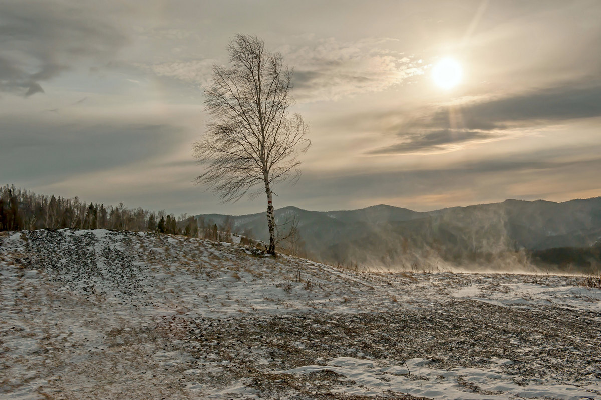 Зима, ветер, позёмка...
