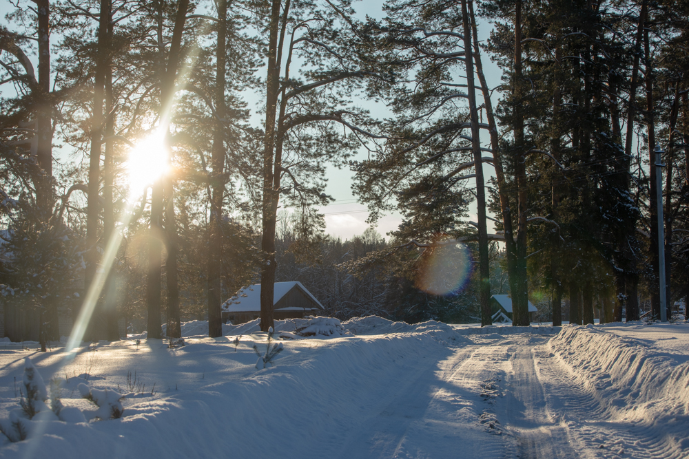 У лесозавода