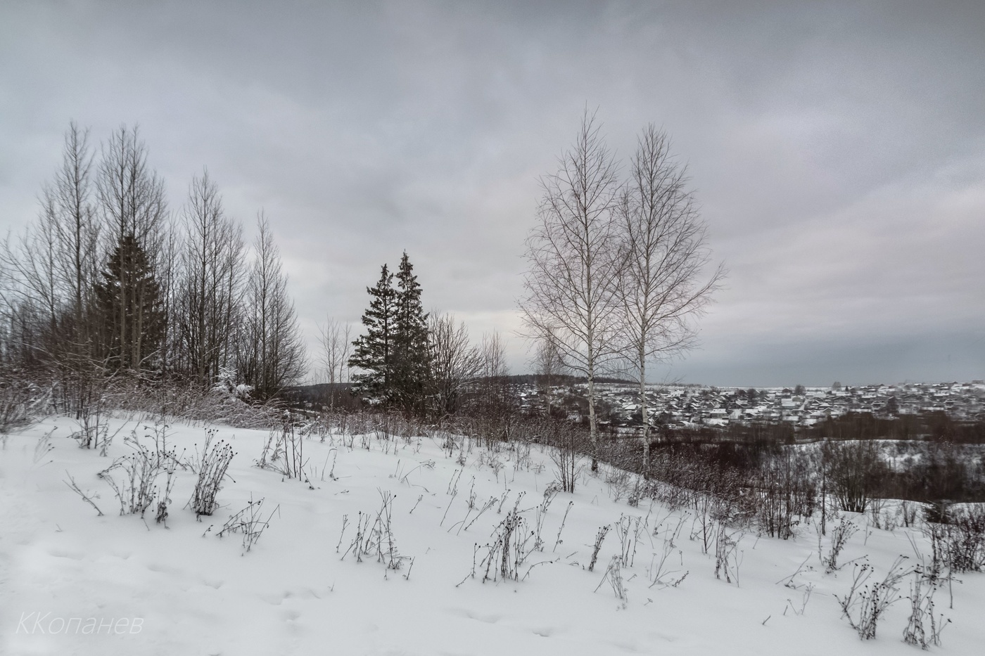 Январская зарисовка