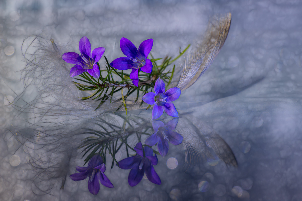 С Новым Годом!