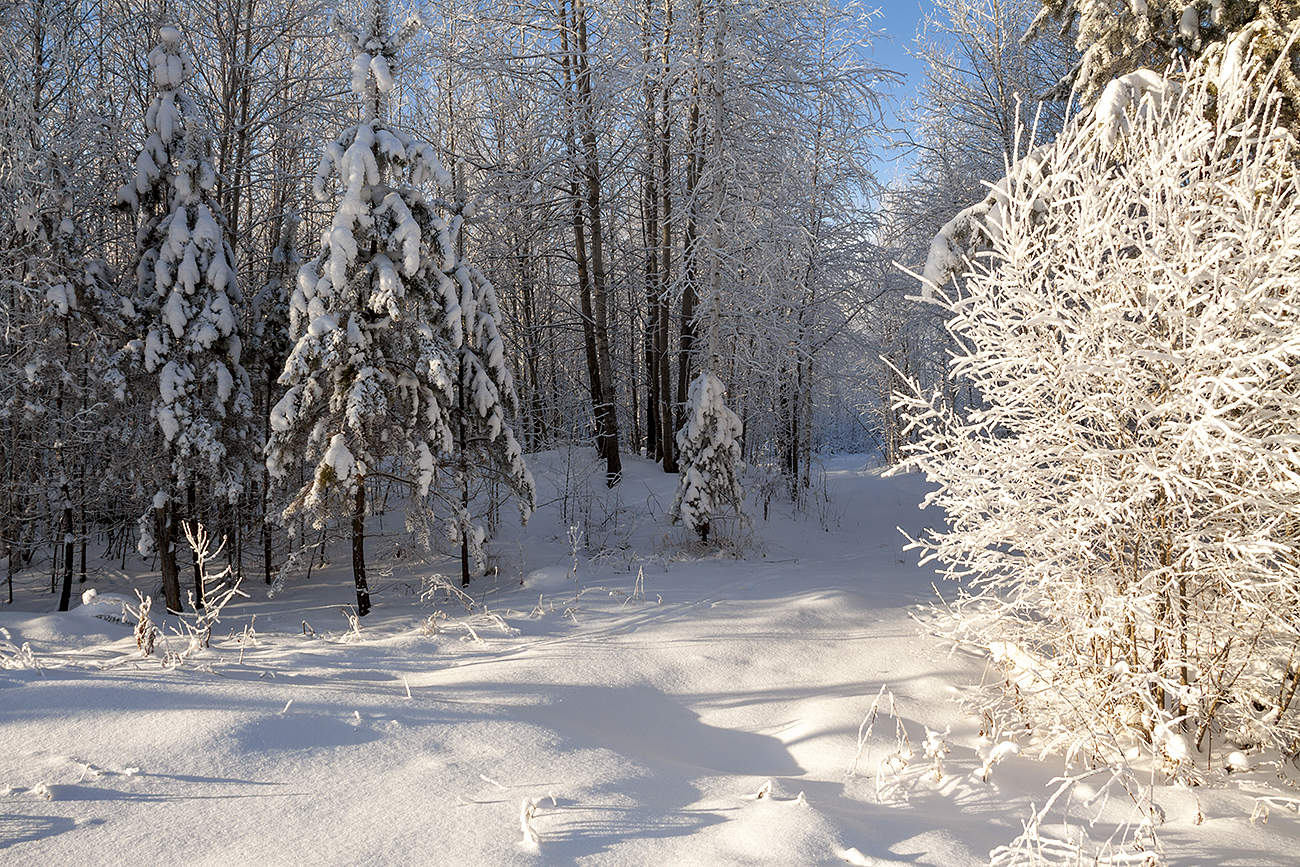 Снежный декабрь