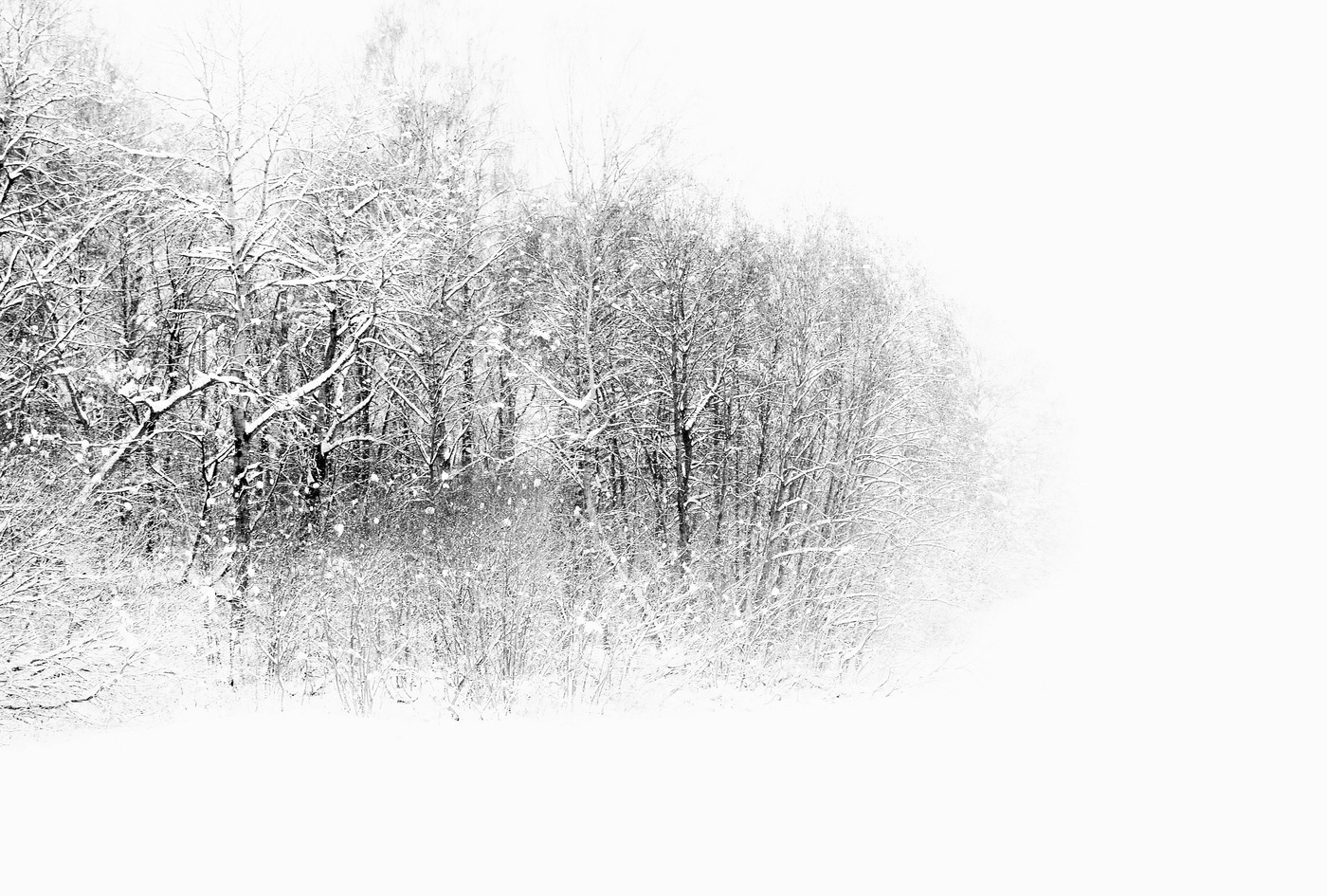 "Мело, мело по всей земле во все пределы..."