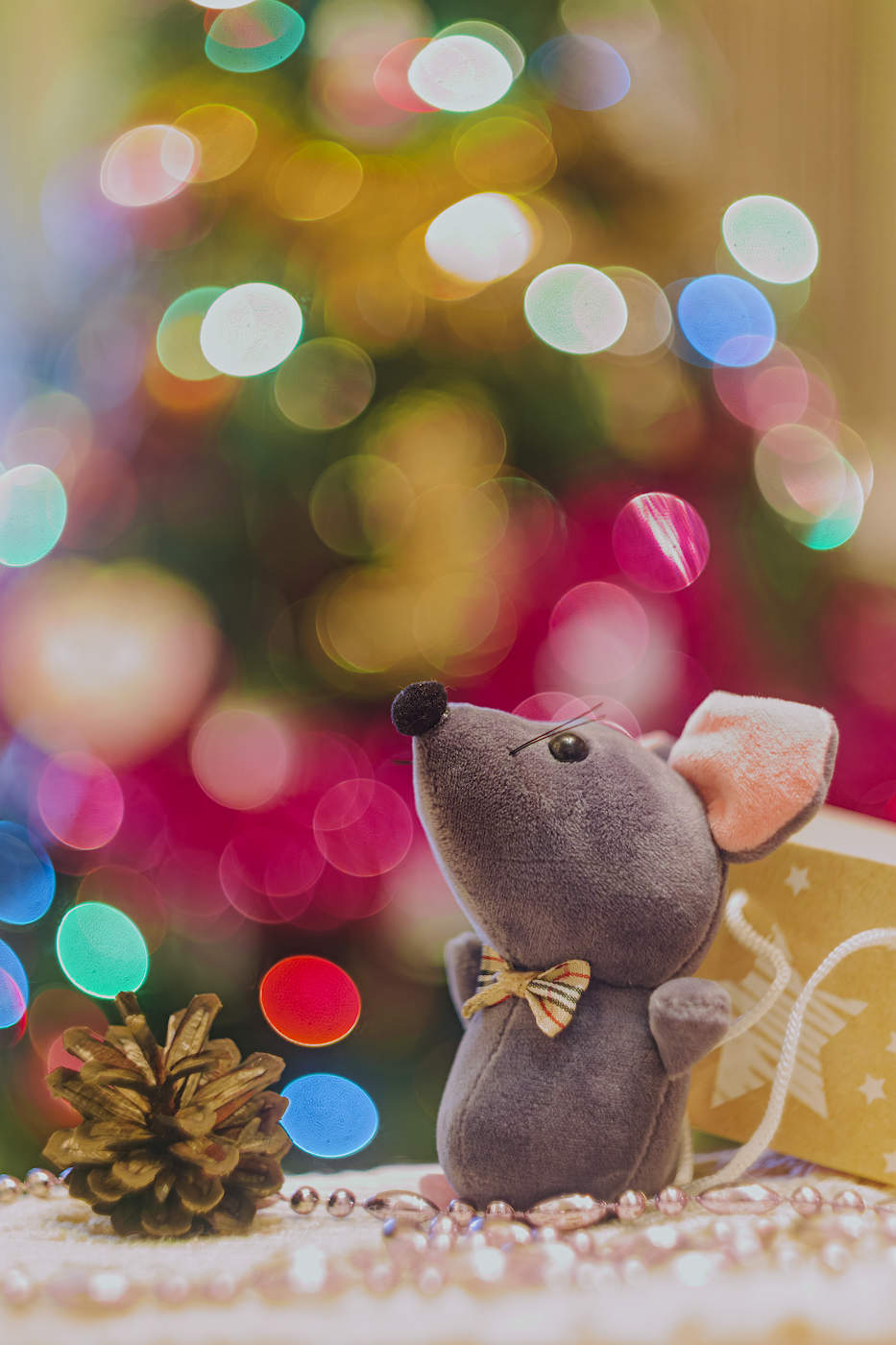 Символ года