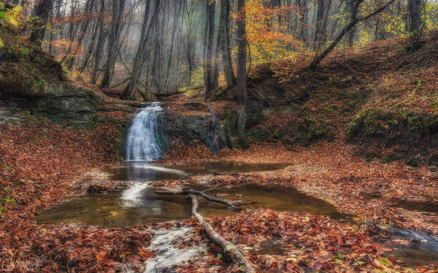 Осенний Фарс...