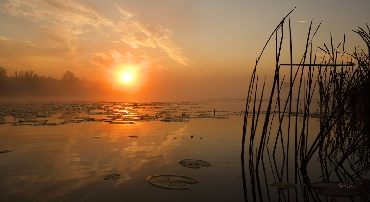 Августовское утро.