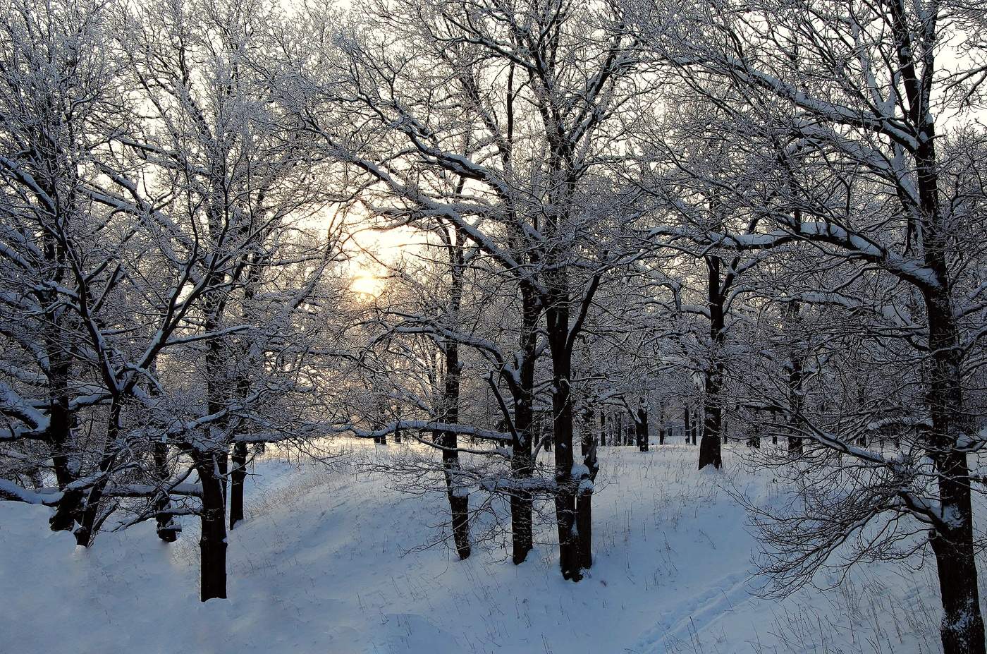 Ложится первый снег...