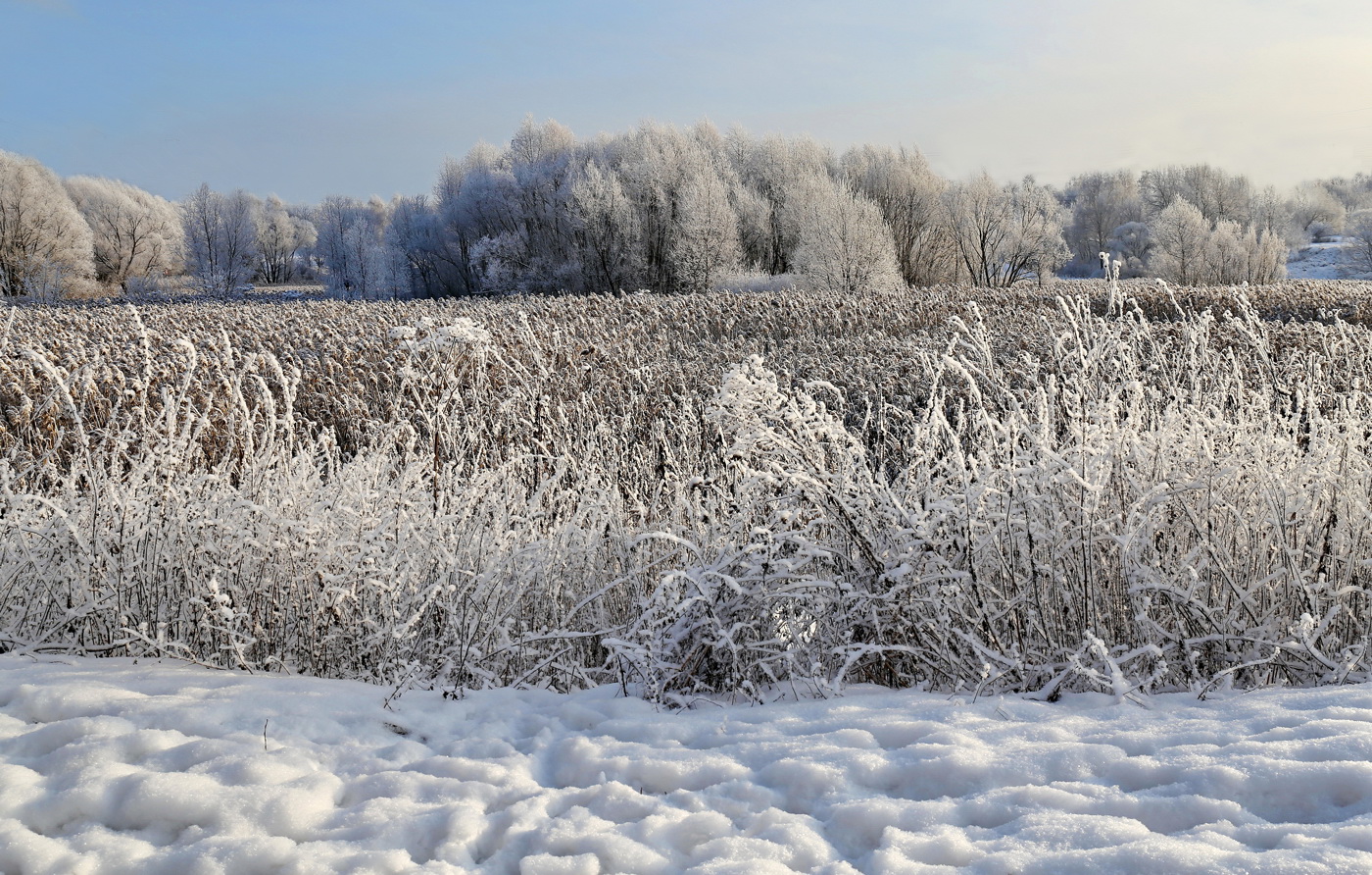 Зимушка зима