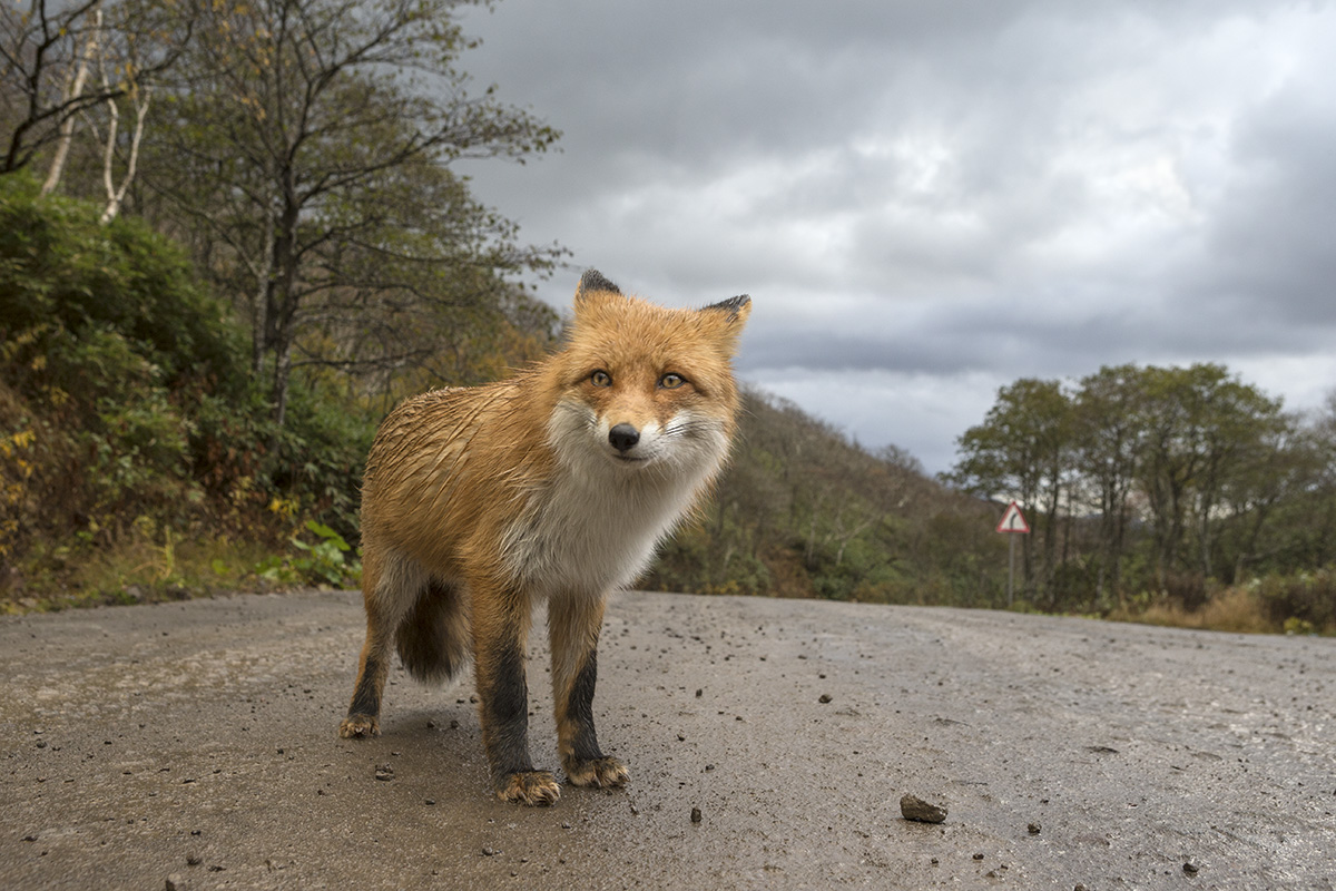 Фотосессия за поесть