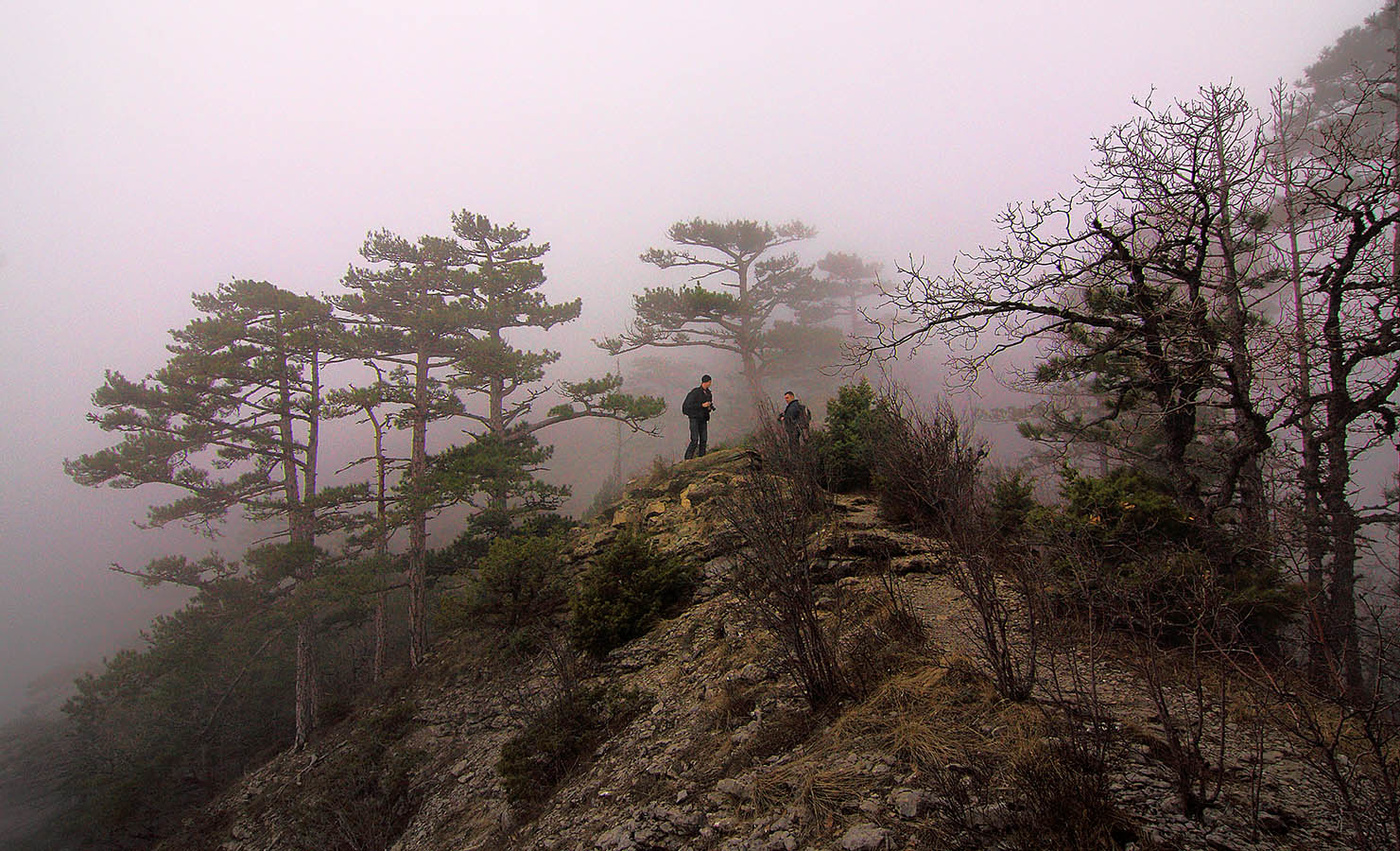 У Ставри-Кая