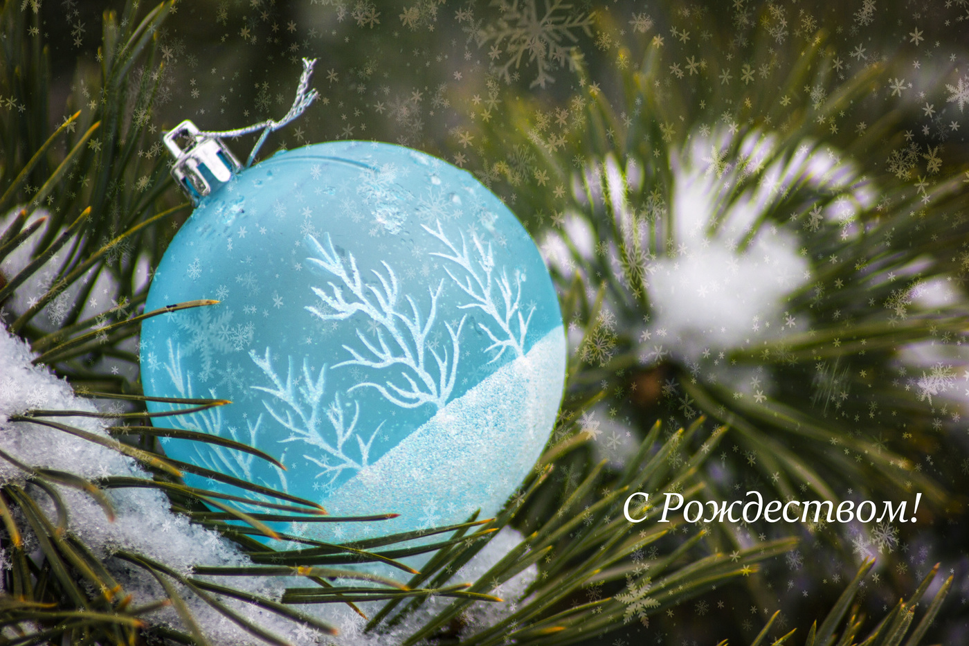 С Рождеством!