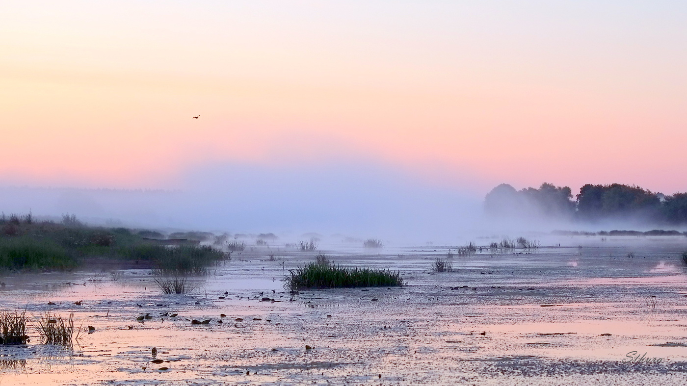 Озеро Исток перед рассветом.