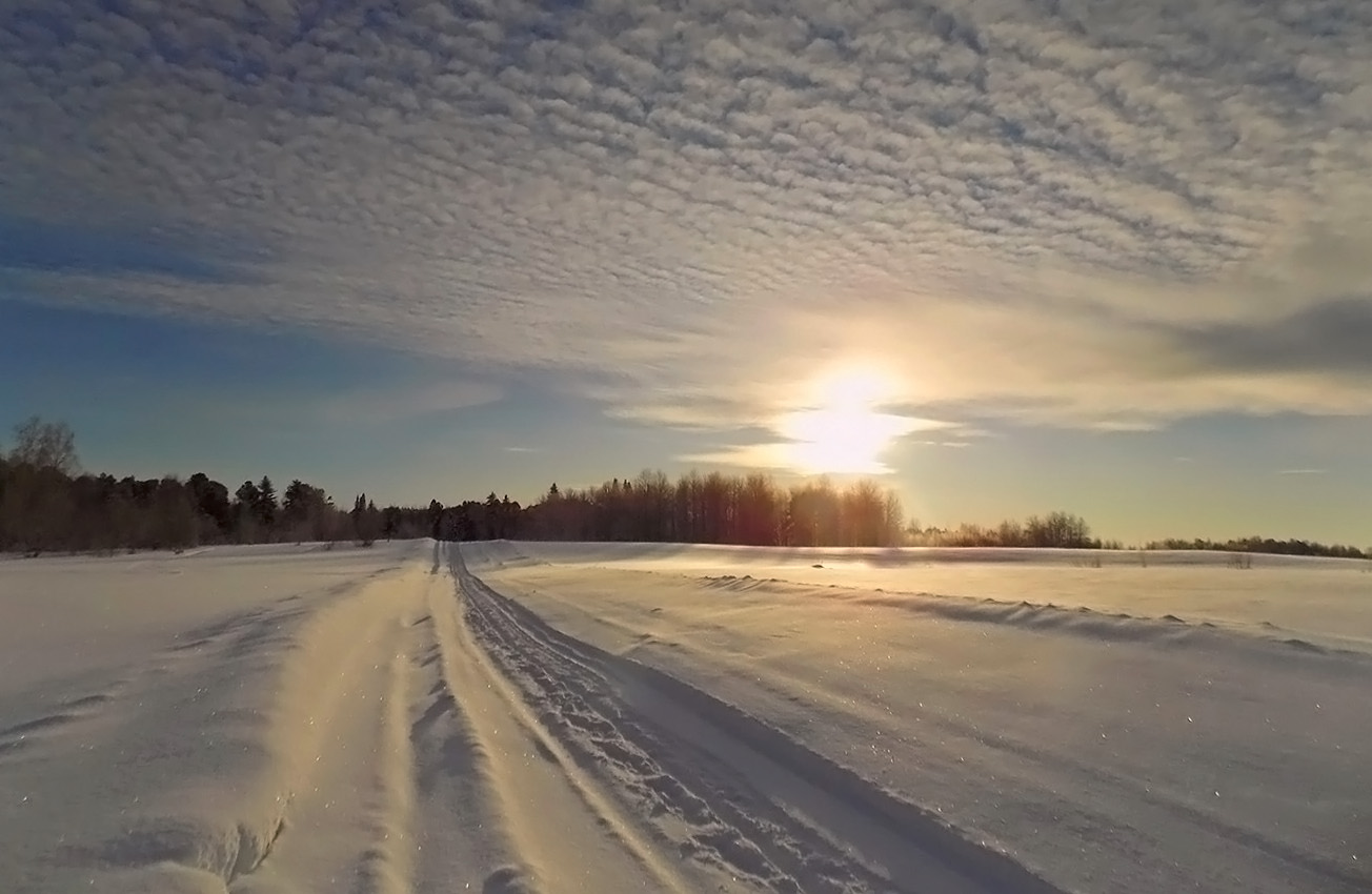 Заснеженная дорога