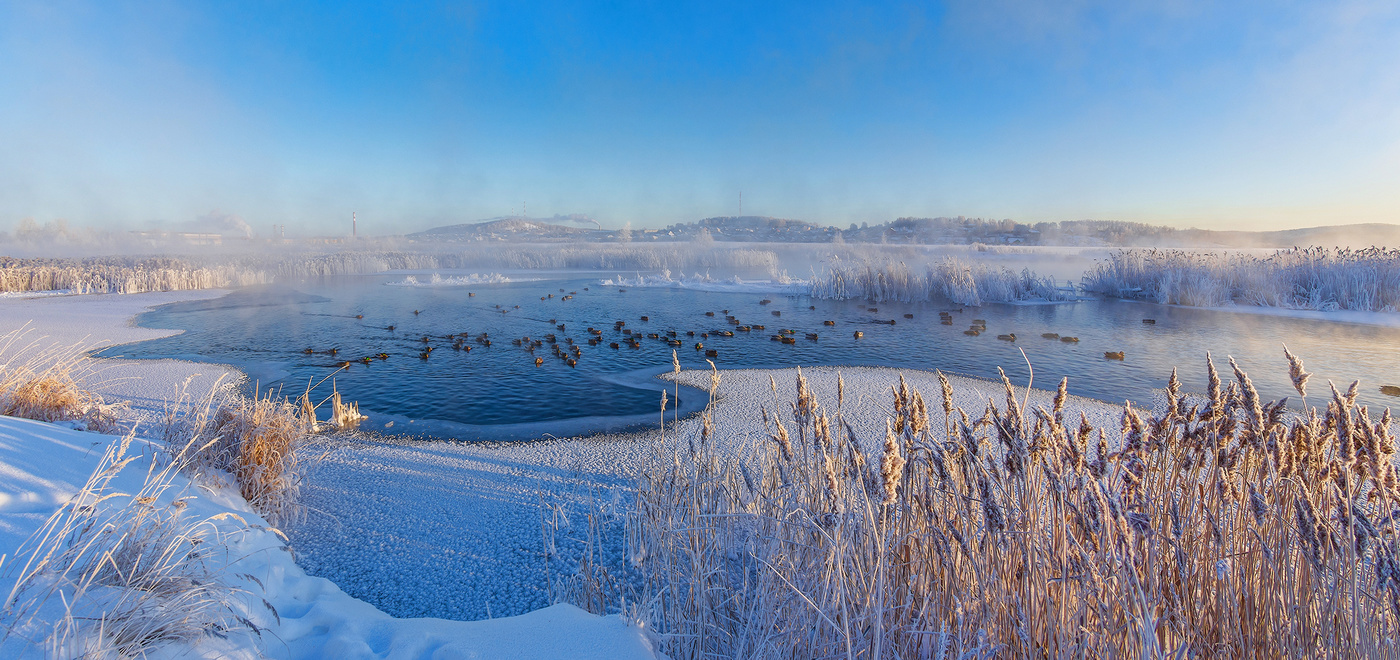 Голубое утро
