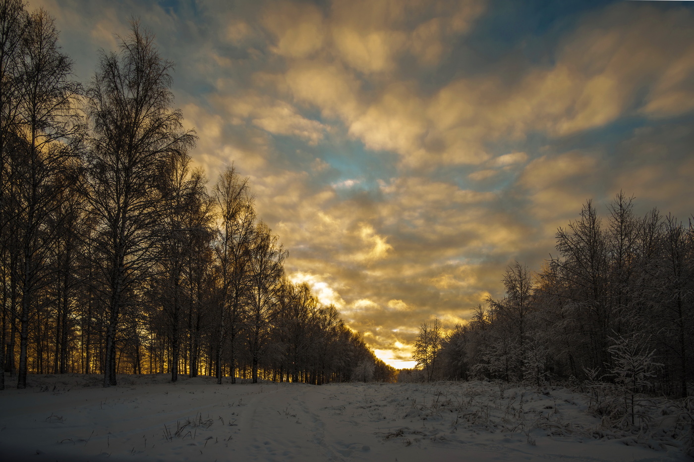 1 e января 2020 г.