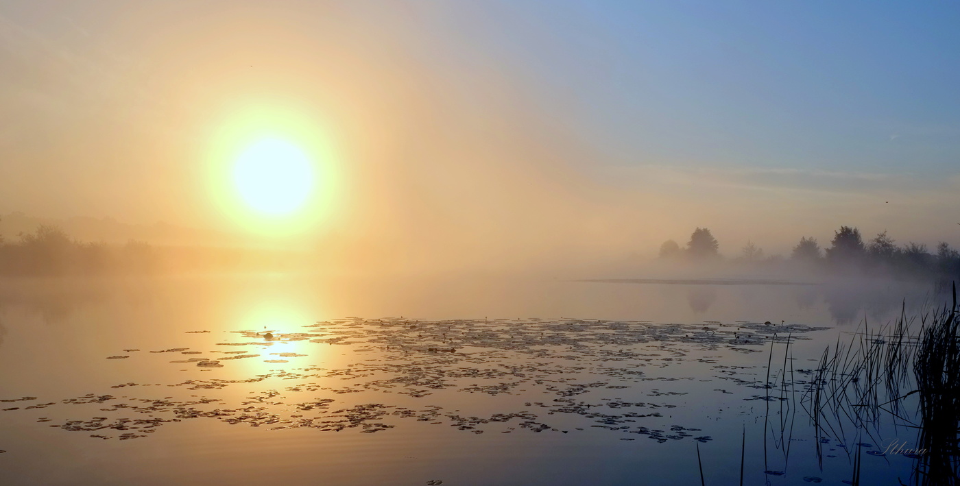Красивый рассвет на озере.