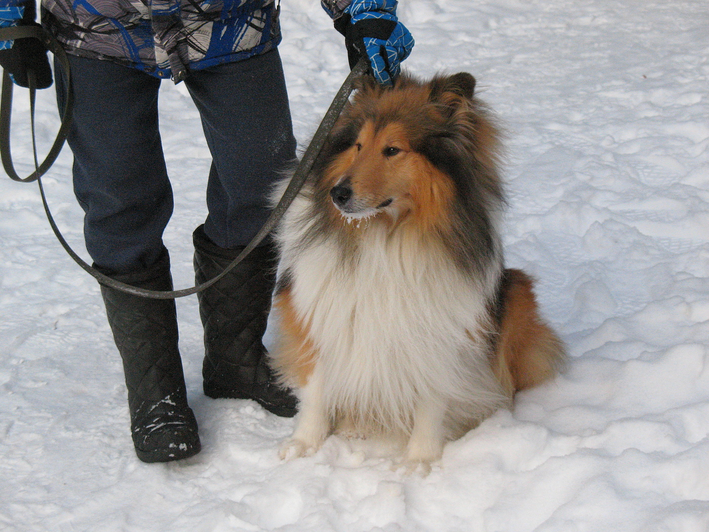 За ушко, да на солнышко!