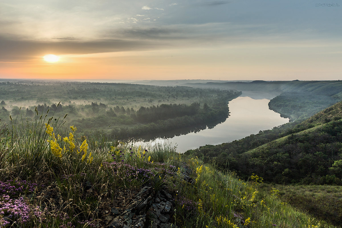 Чабрец, Донец