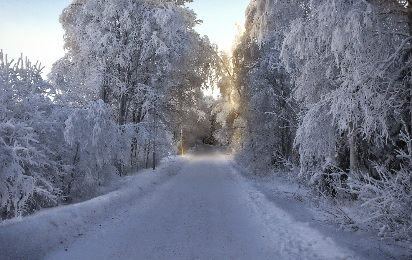 Дорога к Деду Морозу...