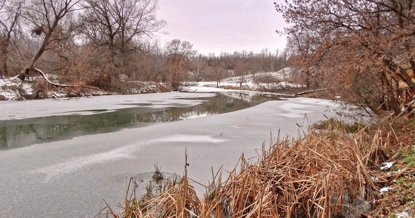 Тёплый январь 2020 года