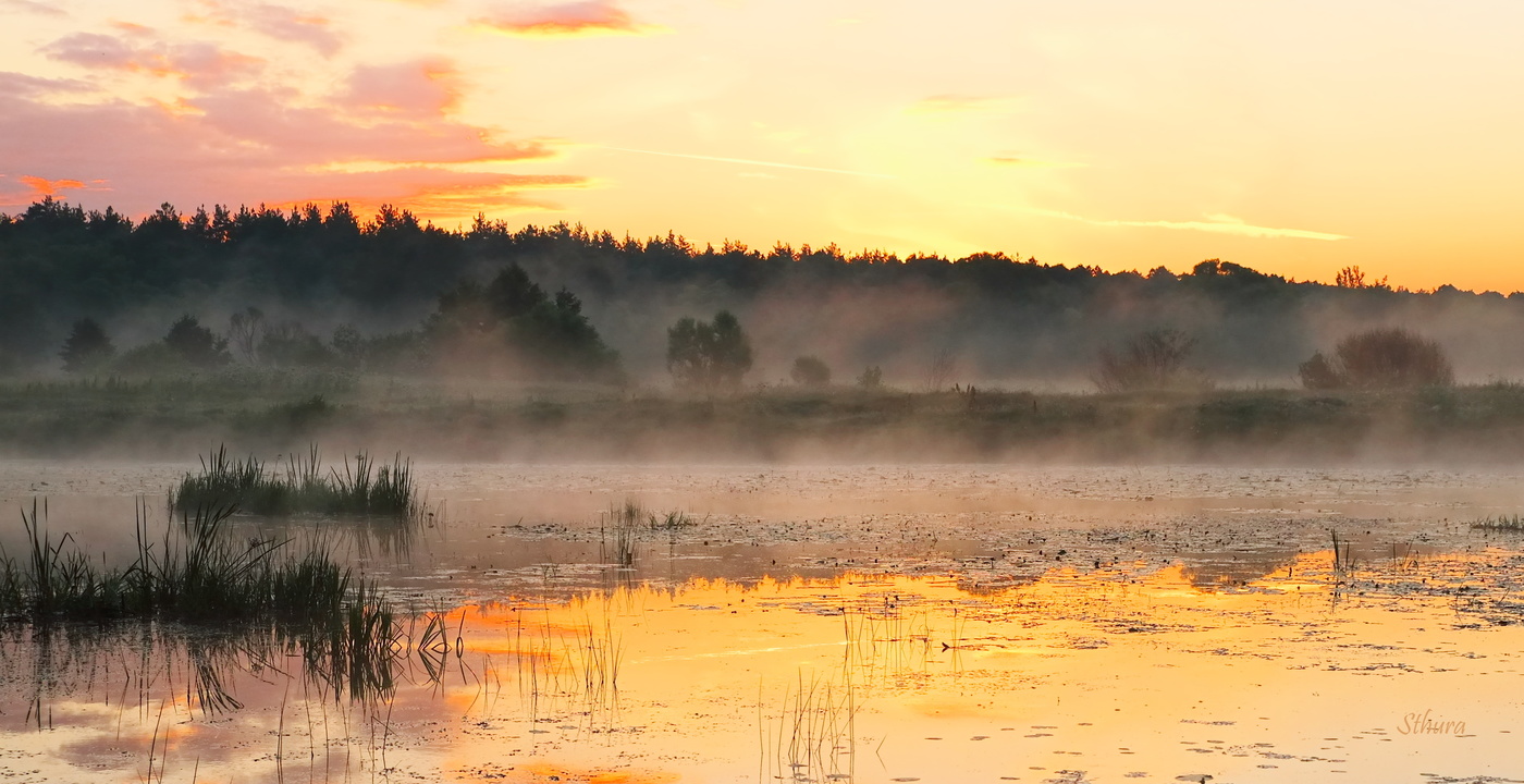 Раннее летнее утро.