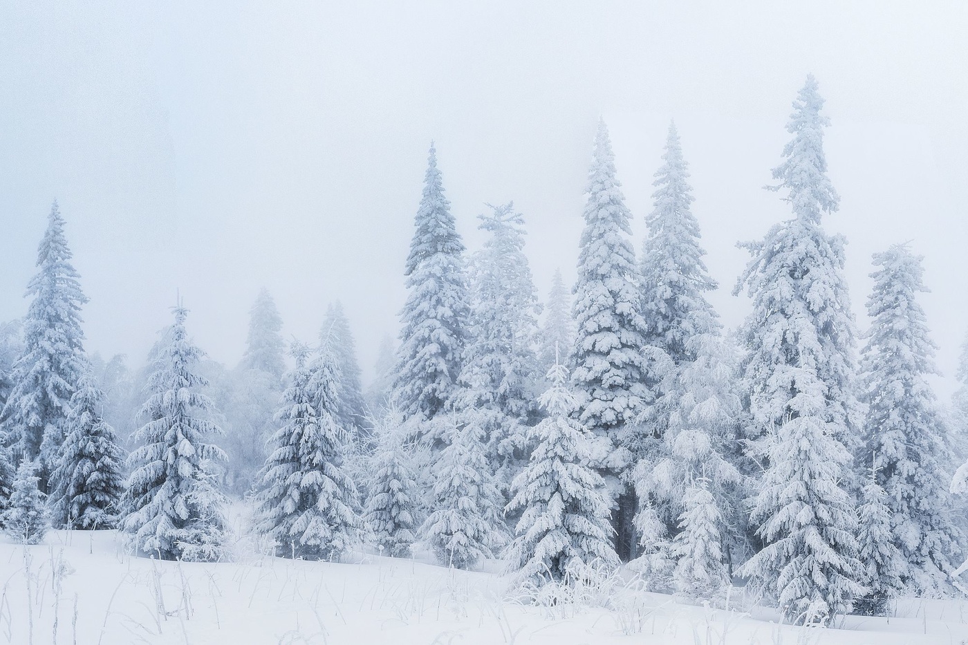 По тропе на Большой Уван