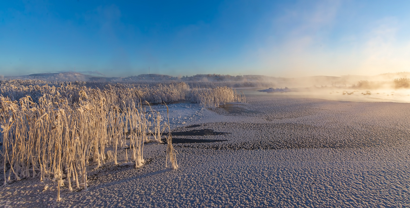 В утреннем свете