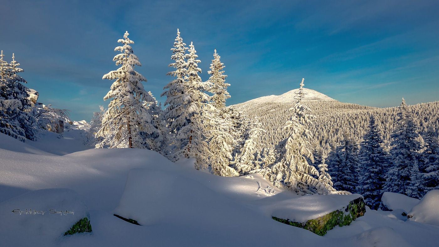 Зимний пейзаж