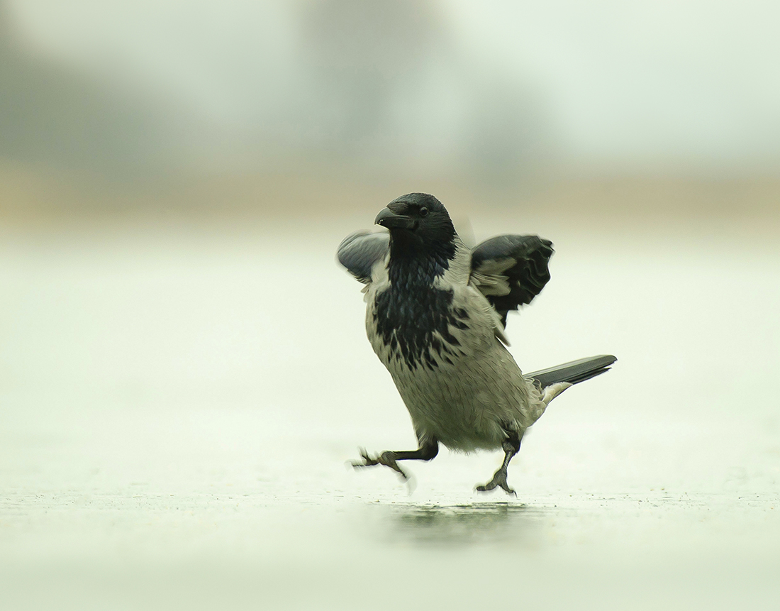 Танцуем Барыню