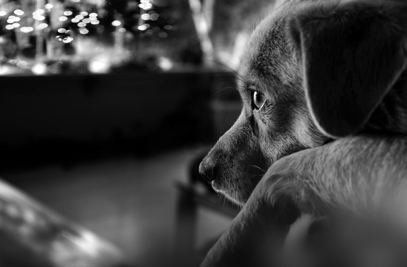 Пятничный день...