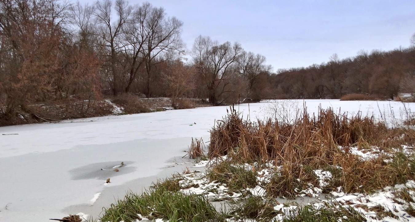 Январская зарисовка